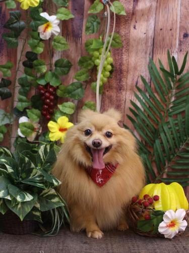 20230824リーくん